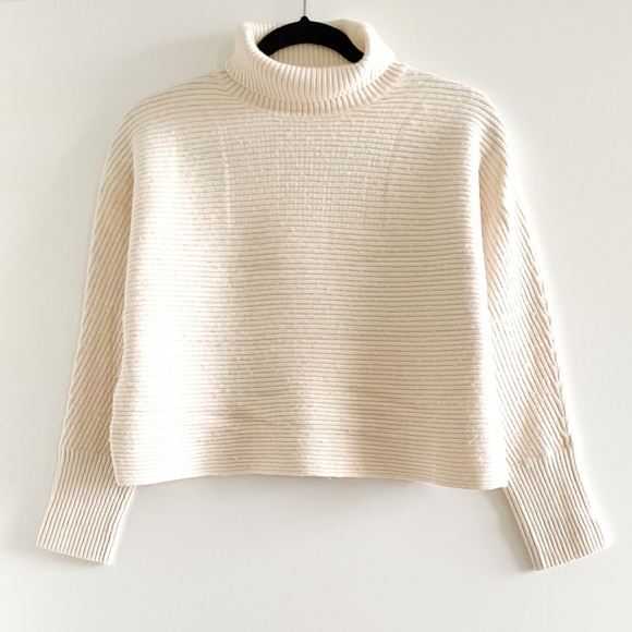Aritzia Sweaters - Babaton Ribbed Turtleneck Sweater
